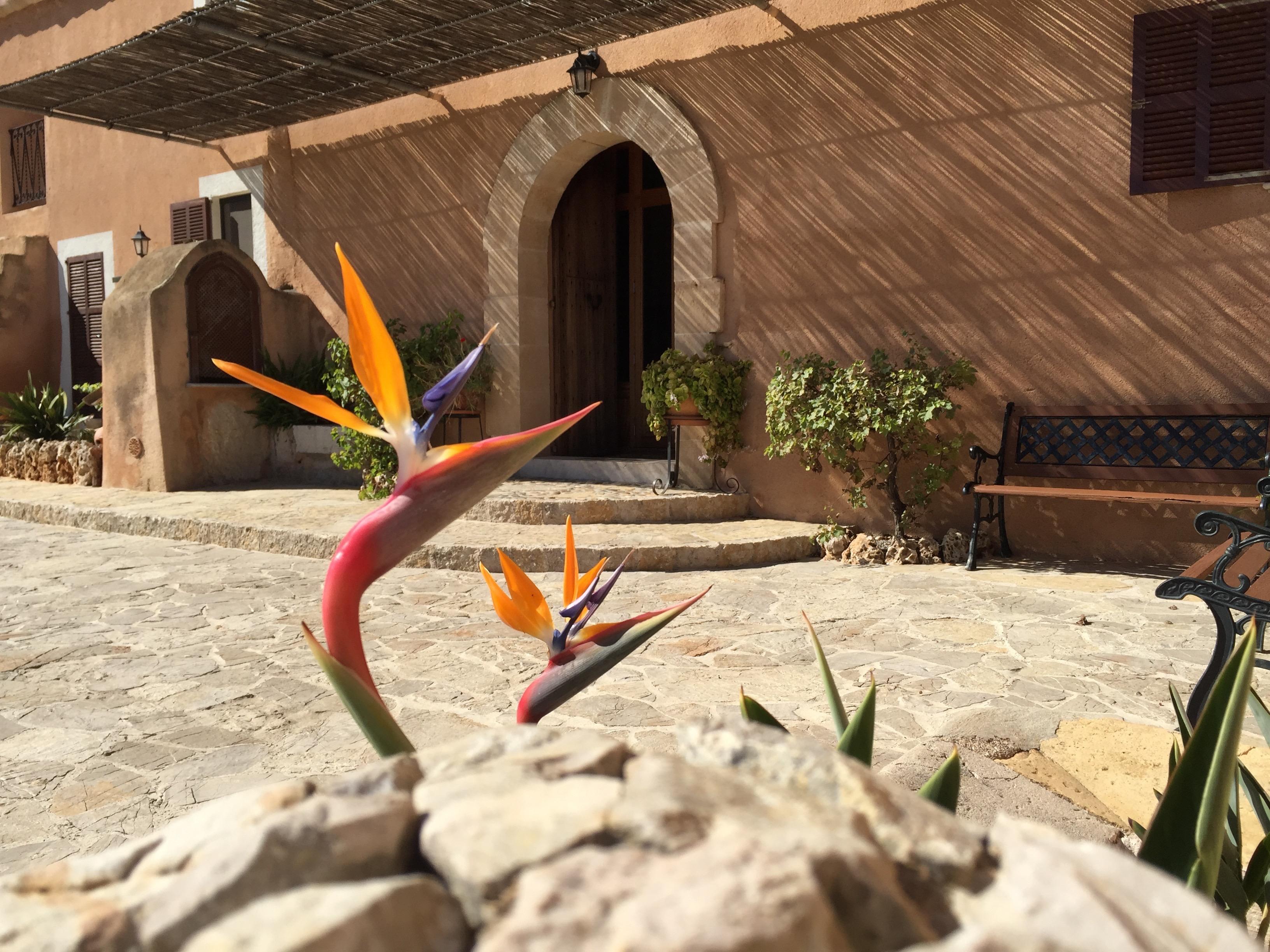סון מאסיה Agroturisme Es Picot מראה חיצוני תמונה